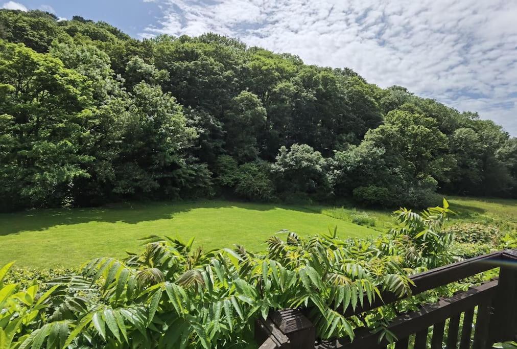 Kallowen Cottage At Crackington Haven, Near Bude And Boscastle, Cornwall ภายนอก รูปภาพ