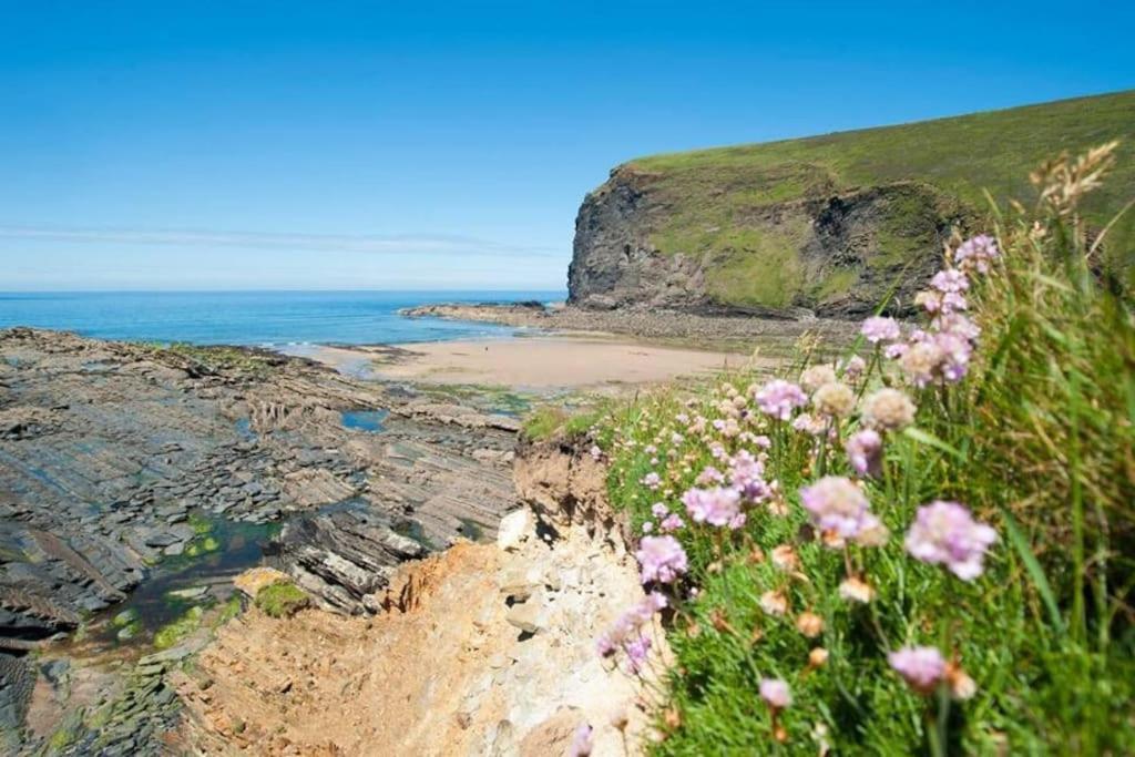 Kallowen Cottage At Crackington Haven, Near Bude And Boscastle, Cornwall ภายนอก รูปภาพ